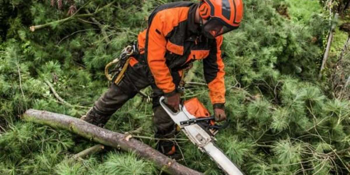 Emergency Tree Surgeons – Emergency Call Outs