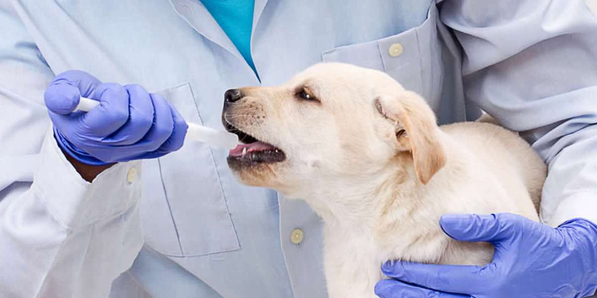 Future Prospects of Veterinary Drugs Compounding Market