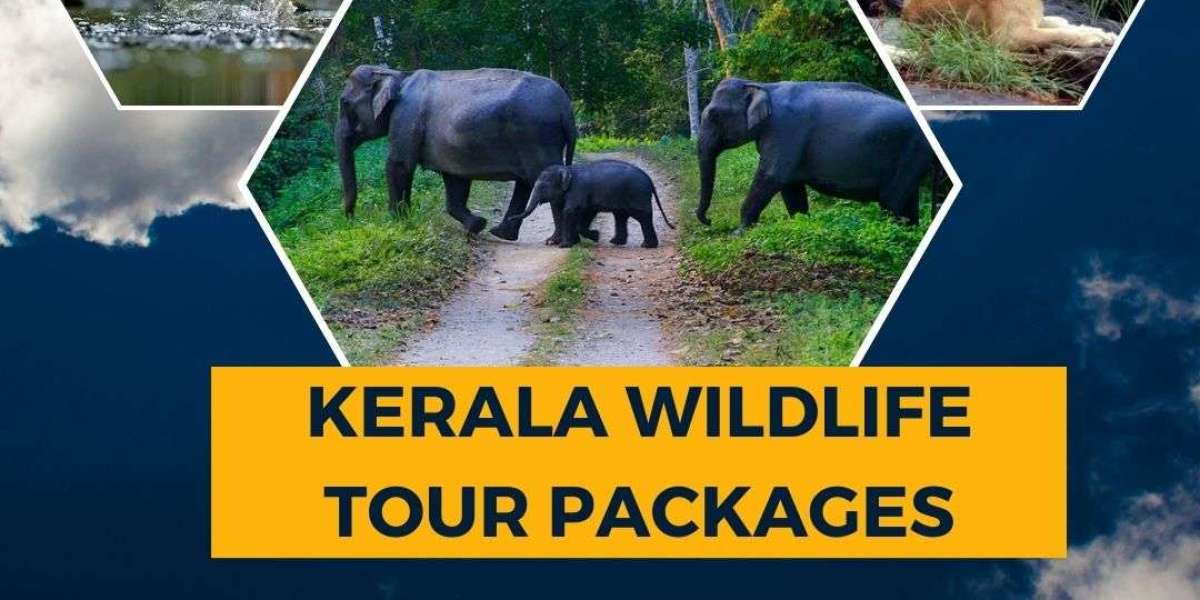 Embark on an Exotic Adventure: Unveiling the Allure of Kerala Wildlife tour packages