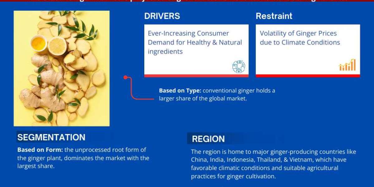 Ginger Market Size, Business Opportunity and Future Demand by 2028 | MarkNtel