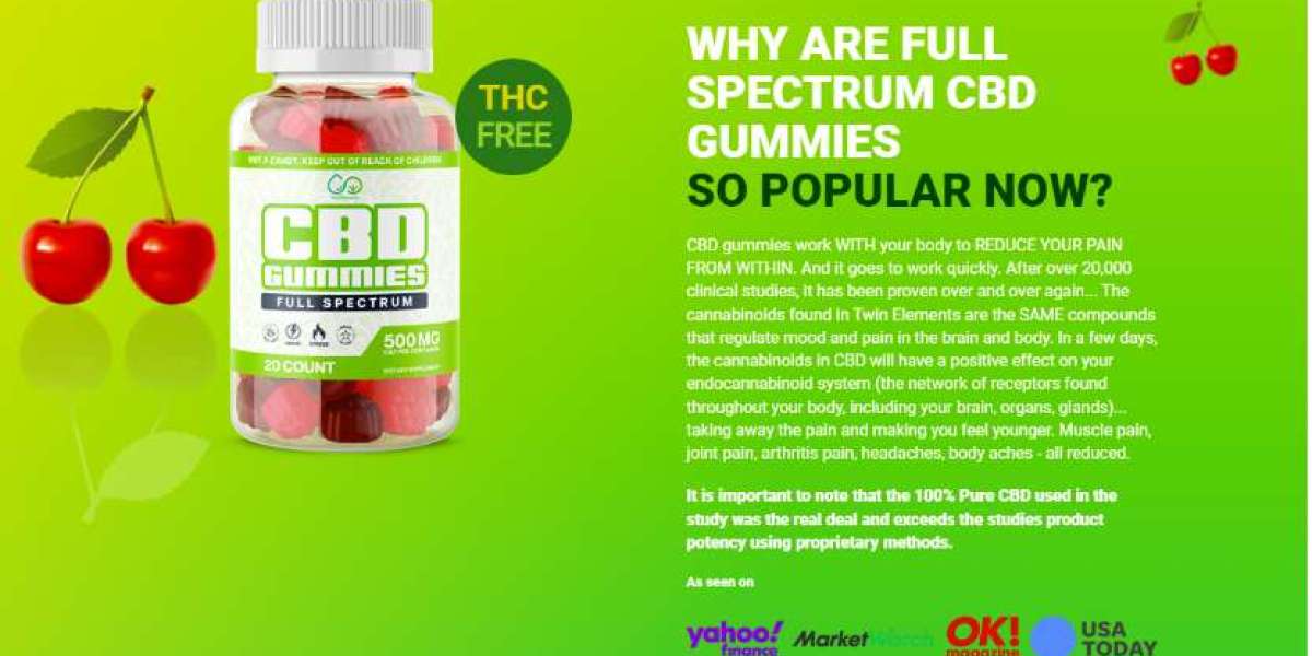 The Future Of Green Vibe Cbd Gummies In 2023 (And Why You Should Pay Attention)