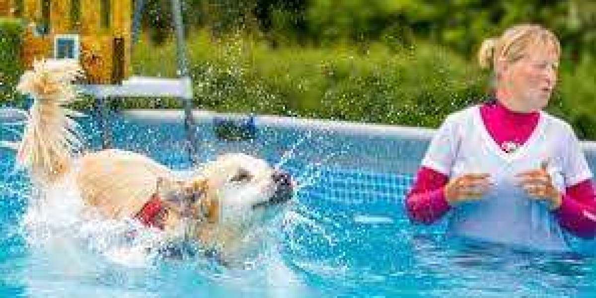 Elevating Canine Wellness with Dogs Pool Training in Olathe