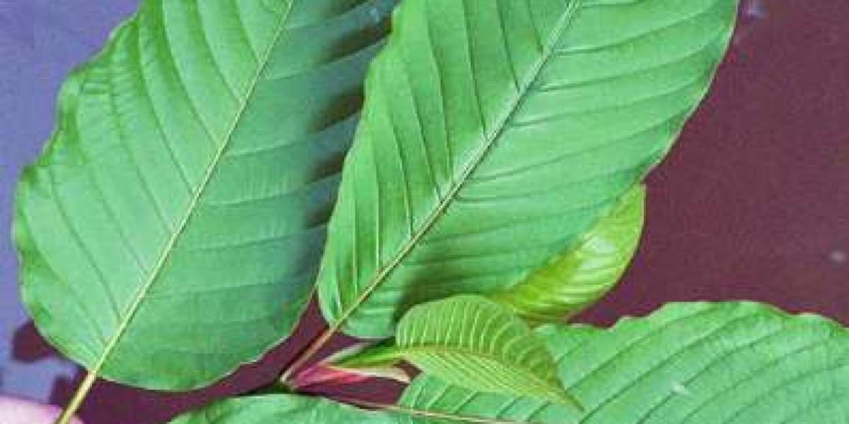 "Kratom: What Is It and What You Need to Know"