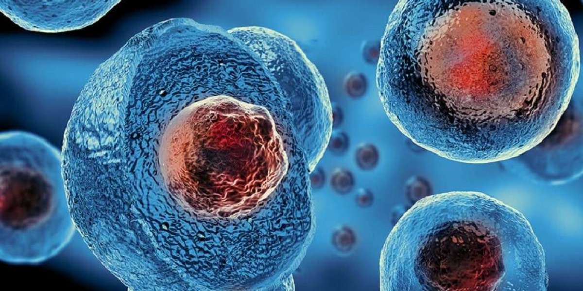 Stem Cell Therapy Market: Cell Therapy is the largest segment driving the growth of Stem Cell Therapy Market