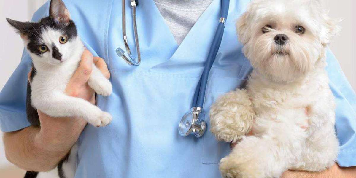 Future Prospects of the Veterinary Services Market