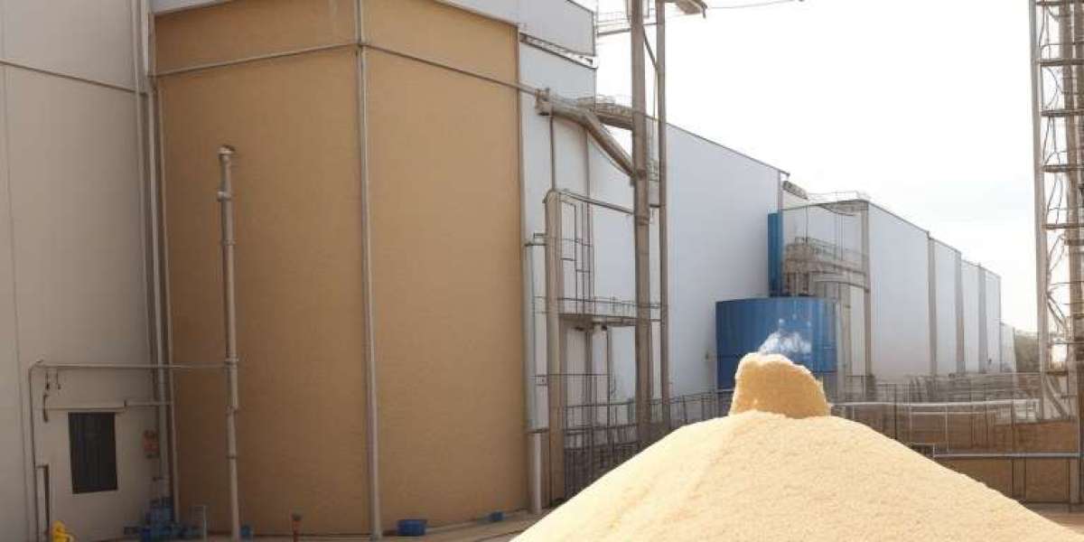 Wheat Flour Processing Plant Report on Project Details, Requirements and Cost Involved