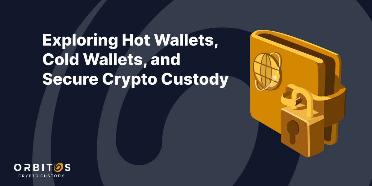 Dynamics of Hot Crypto Wallets