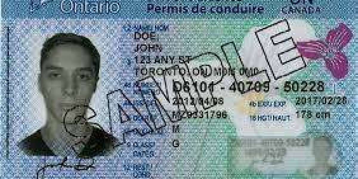Night with Flawless Authenticity: Ontario's Premier Source for Top-Notch Fake IDs!