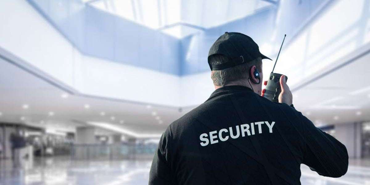 Traveler Security Services Market Competitive Analysis Report, Growth & Forecast 2030