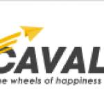 Cavalo The Wheels of Happiness