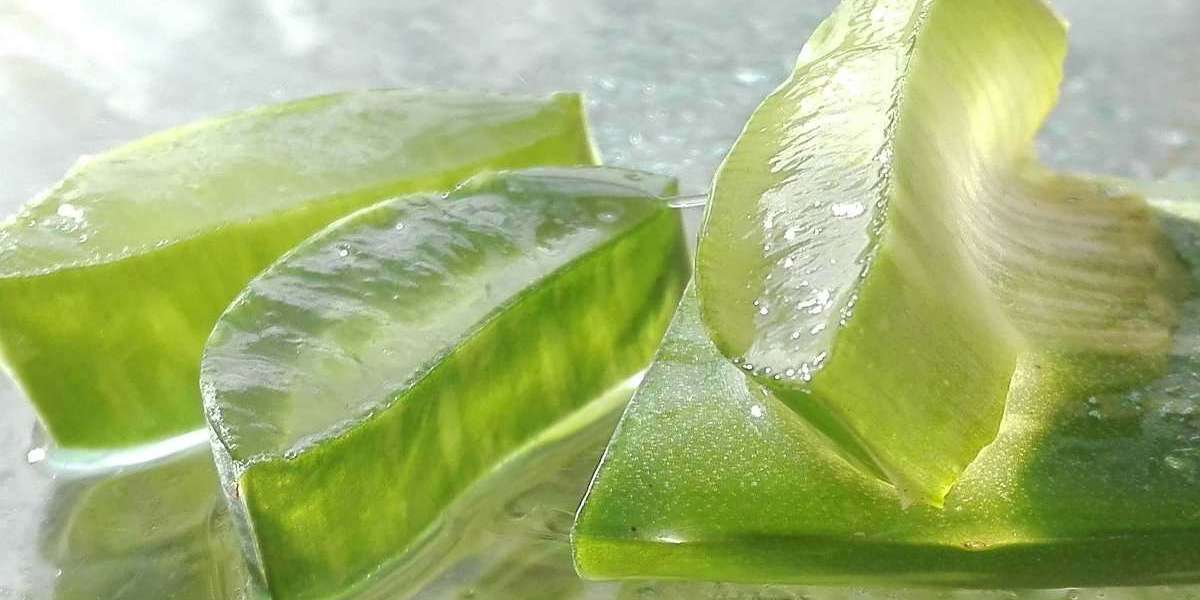 Aloe Vera Gel Manufacturing Plant Project Report 2024, Machinery Requirement, Business Plan, Manufacturing Process, Plan