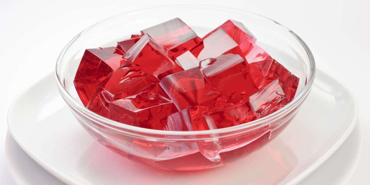Gelatin Manufacturing Plant Project Report 2024: Comprehensive Business Plan, Manufacturing Process, and Cost Analysis
