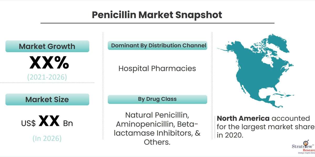 Penicillin Power: Unraveling the Dynamics of the Market