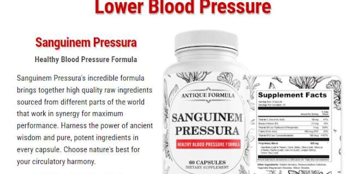 How Can Sanguinem Pressura (Antique Formula) Support For Healthy Heart?