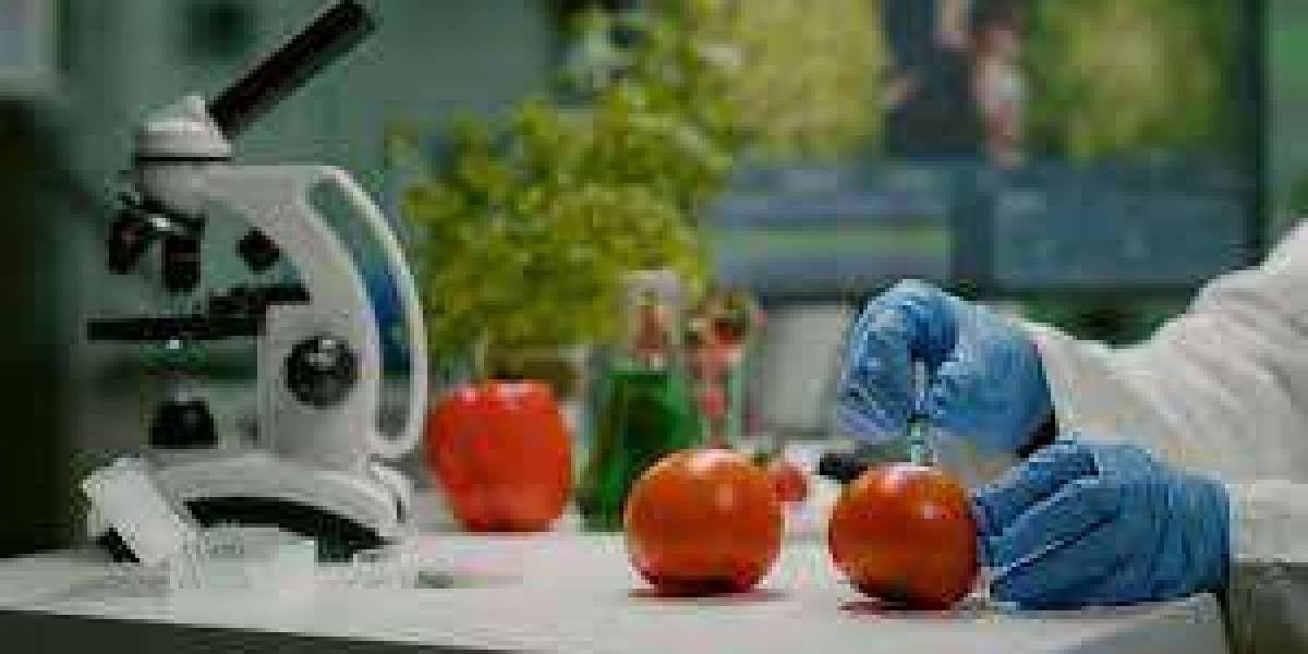 Food Safety Testing Market Size, Share Analysis, Key Companies, and Forecast To 2030