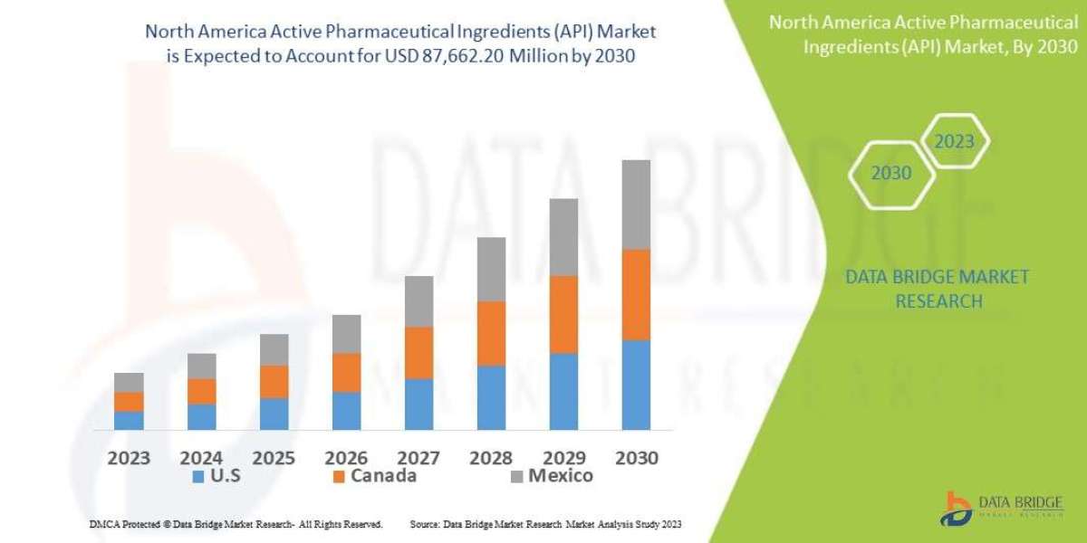North America Active Pharmaceutical Ingredients Trends, Share, Industry Size, Growth, Demand, Opportunities and Forecast