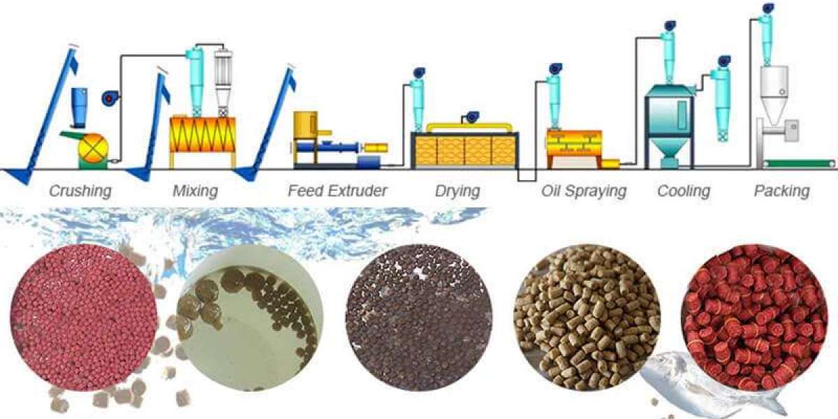 Fish Feed Manufacturing Plant Project Report 2024, Business Plan, Cost and Raw Material Requirements