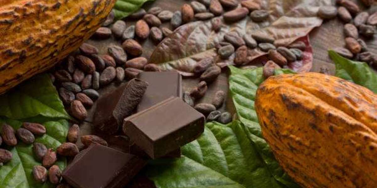 Organic Chocolate Market Increasing Demand, Emerging Trends, Growth Opportunities and Future scope