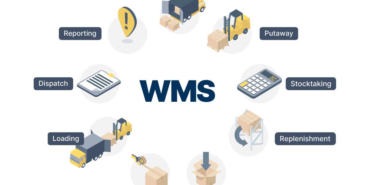 Revolutionizing Supply Chains: Unraveling the Power of Warehouse Management Systems, Freight Forwarding Software, and Lo