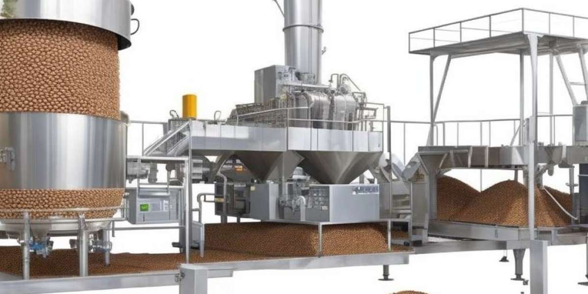 Ground Nut Processing Plant Project Details, Requirements, Cost and Economics 2024