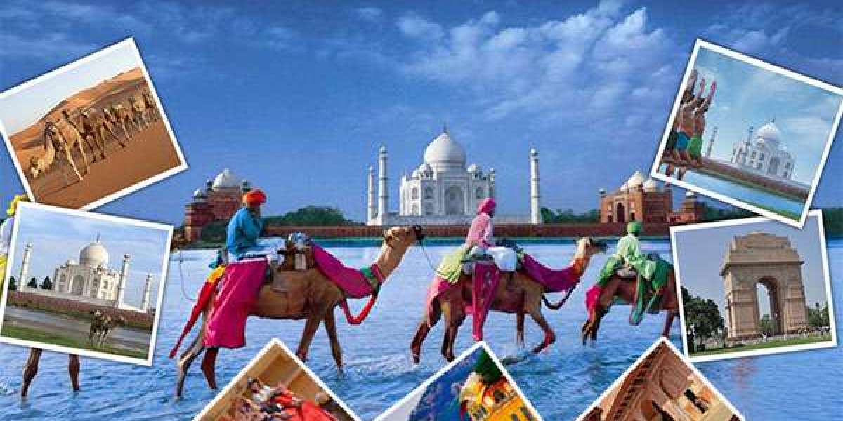 Best Places To Visit In India January 2024