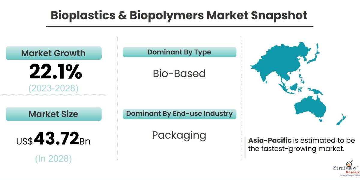 Sustainable Solutions: Insights into the Bioplastics & Biopolymers Market