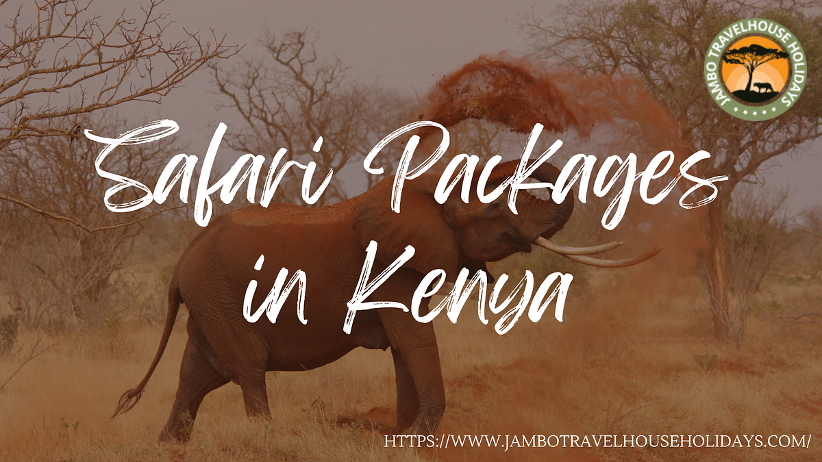 Embark on a Thrilling Adventure with Safari Packages in Kenya by Jambo Travel House Holidays | by Jambo Travel House Holidays | Jan, 2024 | Medium