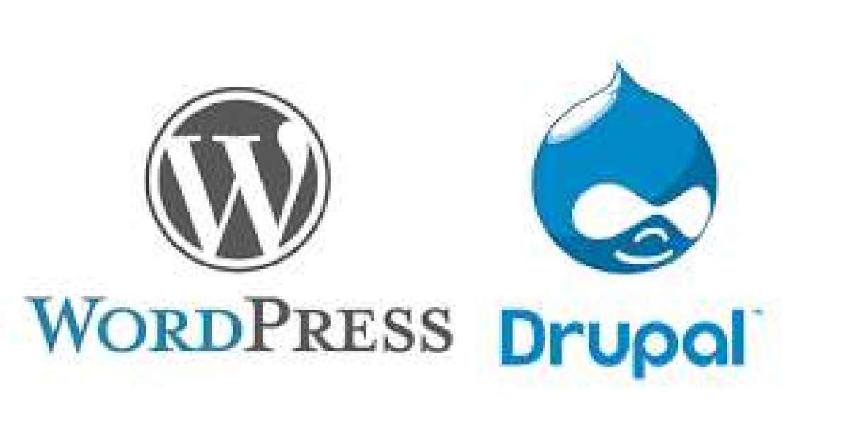 "Community Wisdom: Reddit's Verdict on WordPress vs. Drupal for Web Development"