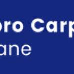 Maxpro CarpetRepairBrisbane