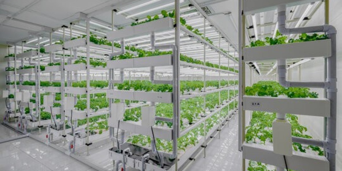 Indoor Agriculture Market Size, Share Analysis, Key Companies, and Forecast To