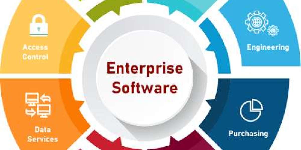 Enterprise Software Market Opportunities 2024-2030