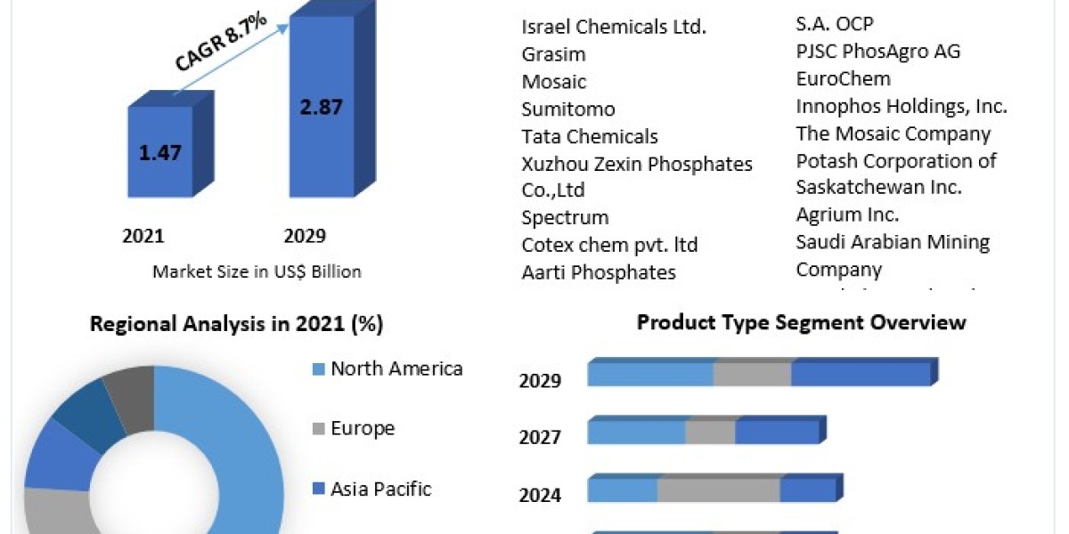 Sodium Phosphate Market Insights: Tracking the US$ 2.87 Bn Milestone by 2029