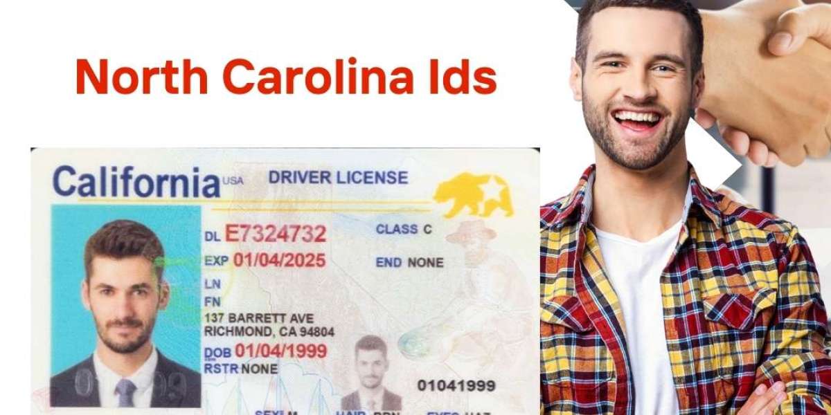 Southern Identity Redefined: Purchase the Best NC IDs from IDPAPA!