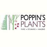 Poppins Plants
