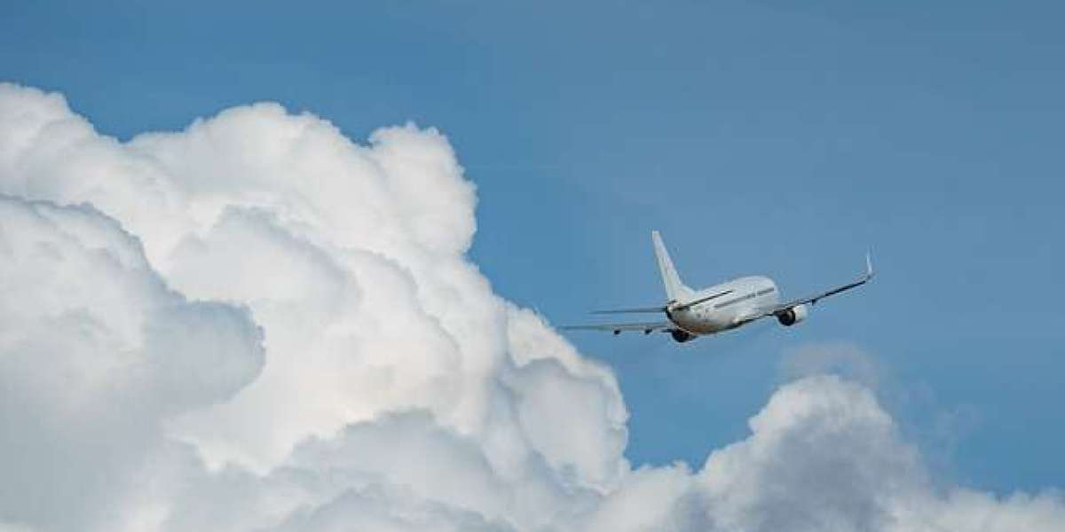 Seamless Travel Excellence: Air Europa's Check-In Service at Miami Terminal