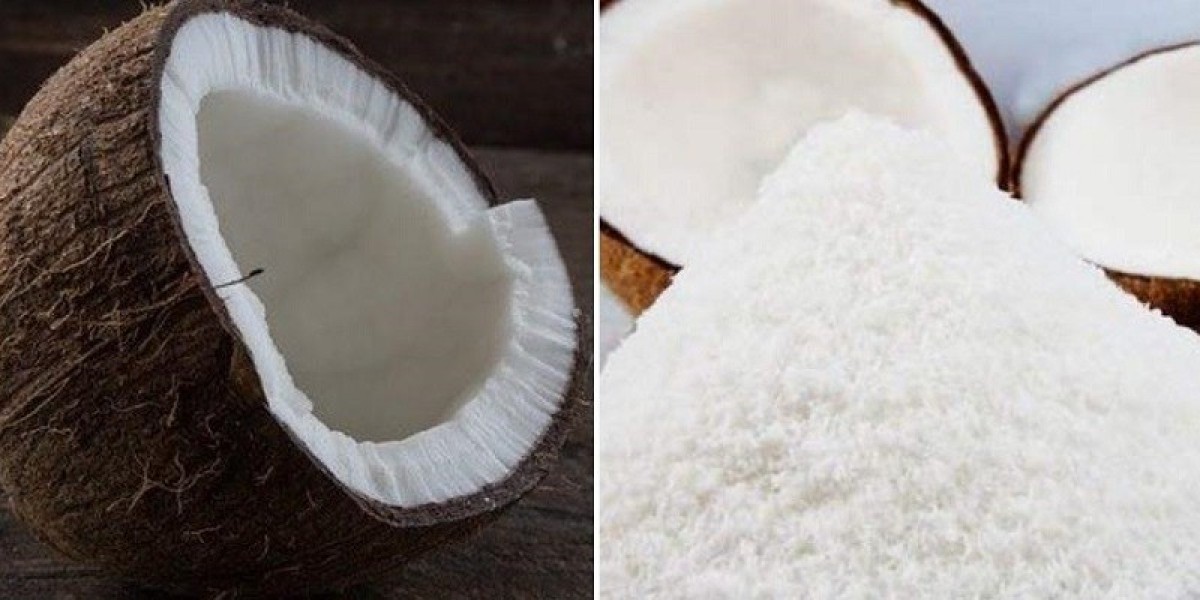 Coconut Powder Manufacturing Plant Project Report 2024: Comprehensive Business Plan, Cost Analysis, and Manufacturing Pr