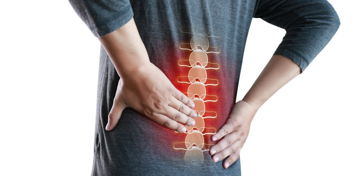 Understanding and Alleviating the Root Causes of Back Pain