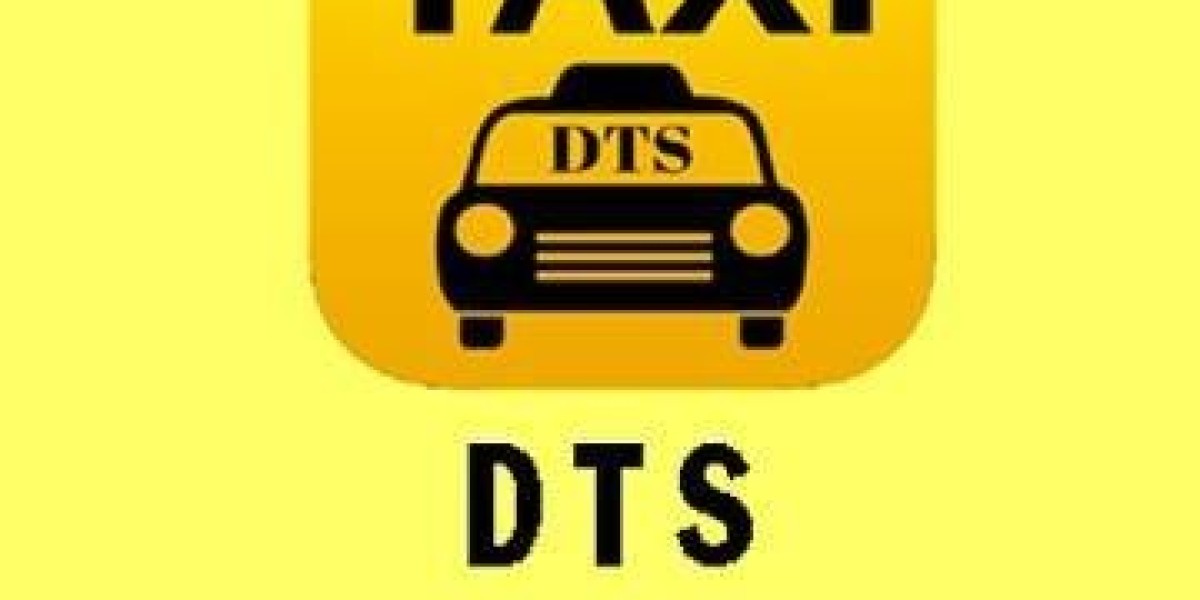 Delhi Travels service