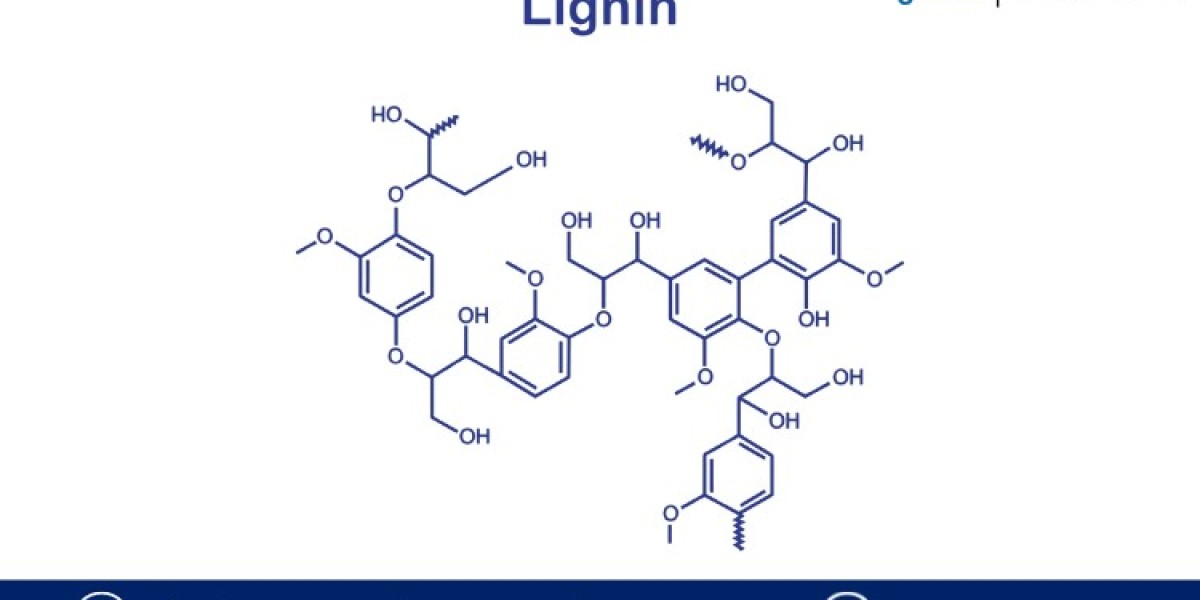 Exploring the Potential: Navigating the Growth and Opportunities in the Lignin Market