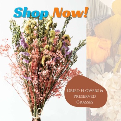 Natural Dried Flowers & Preserved Grasses at Whispering Homes Profile Picture