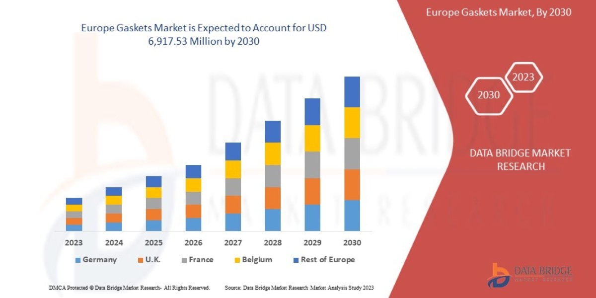 Europe Gaskets Market is Likely to Upsurge at USD 6,917.53 Million Globally by 2030, Size, Share, Trends, Global Demand,