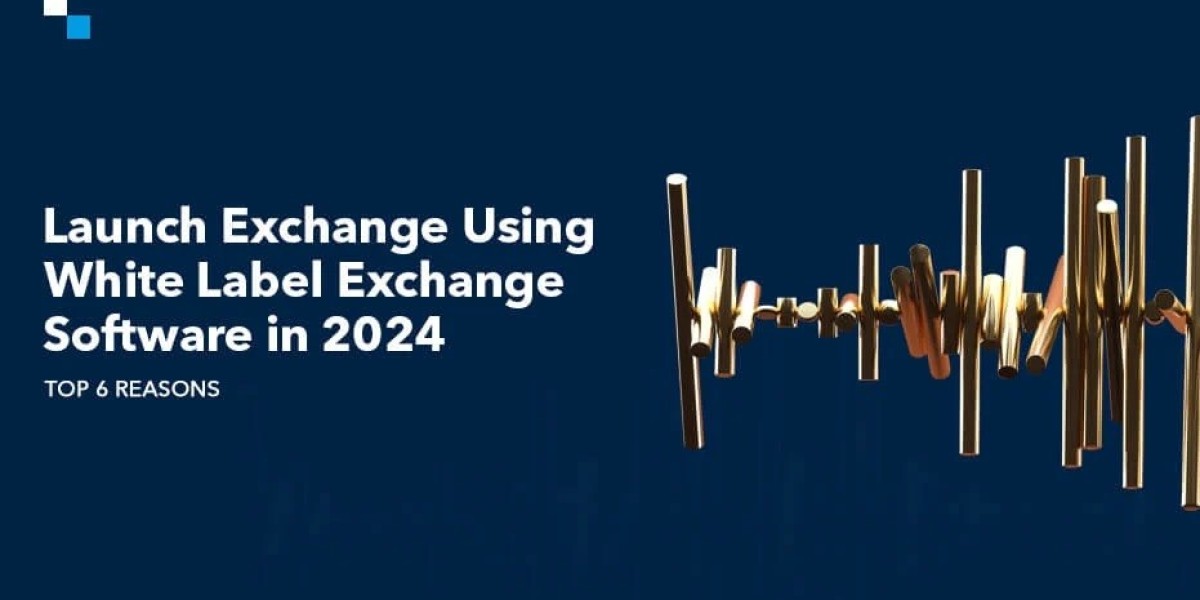 Top 6 Reasons to Leverage White Label Cryptocurrency Exchange in 2024
