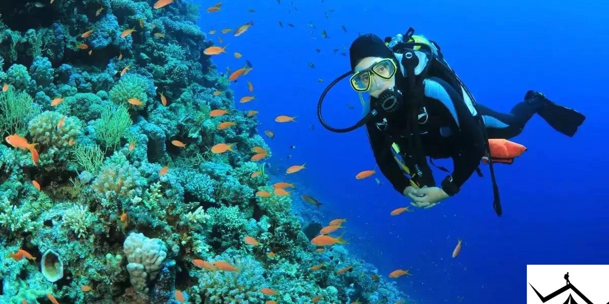 10 Spectacular Scuba Diving Spots in Vietnam: Your Ultimate Dive Destination Guide