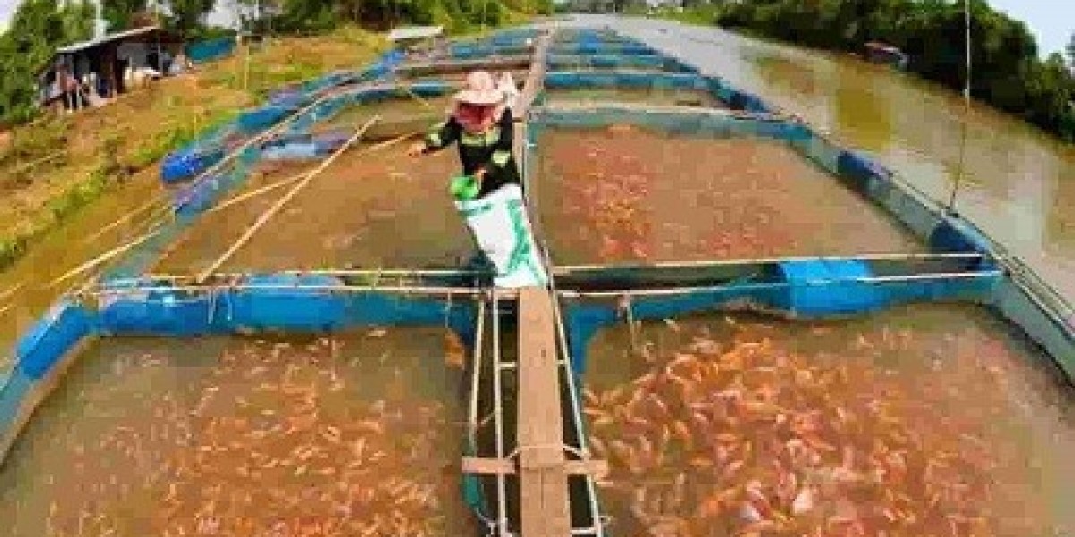 Fish Farming Manufacturing Plant Project Report 2024: Manufacturing Process, and Cost Analysis
