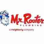 Mr Rooter