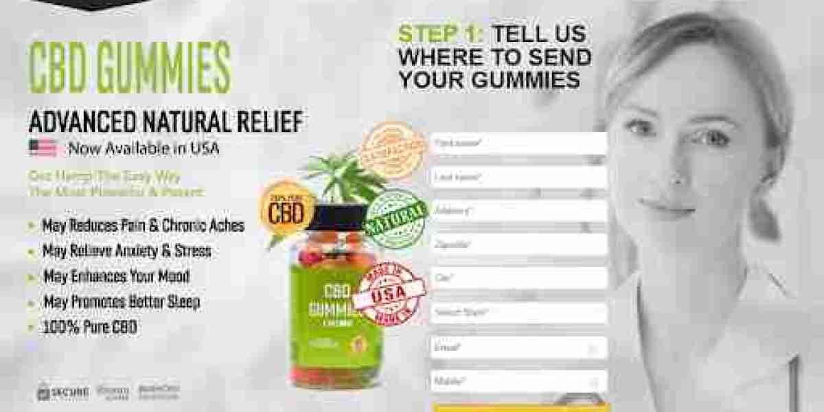 Bloom CBD Gummies for Wellness: A Holistic Approach