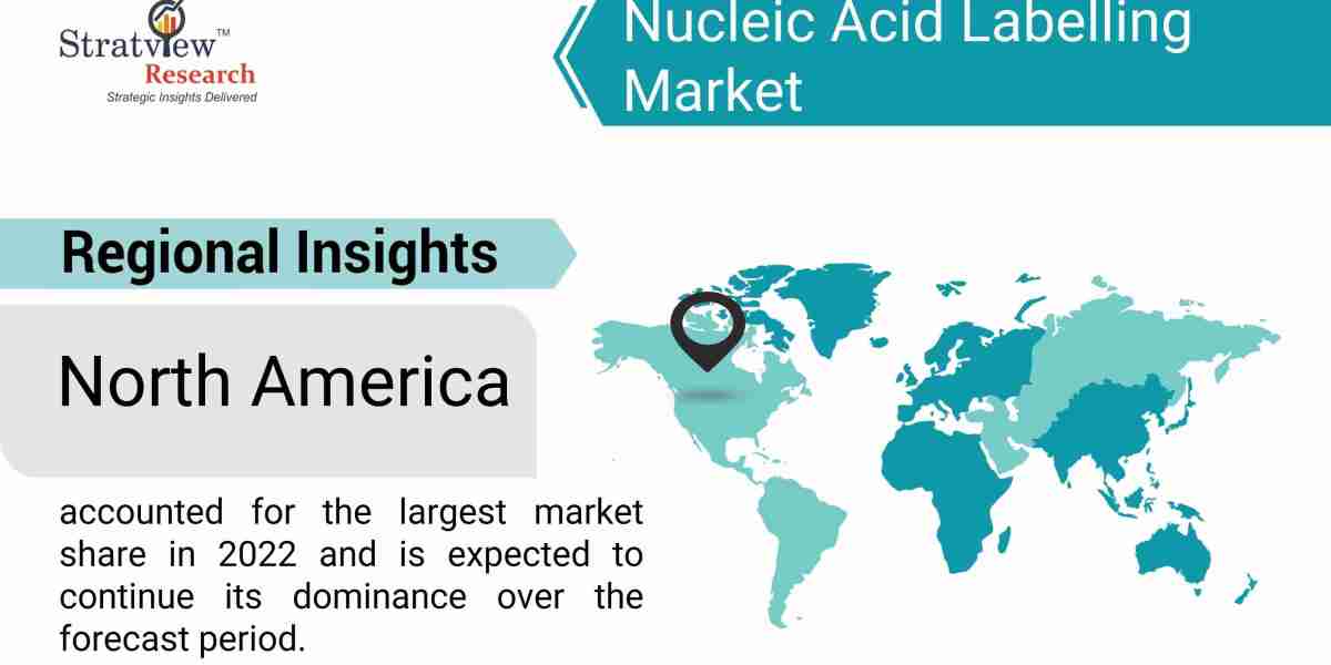 Unlocking Genetic Insights: Exploring the Nucleic Acid Labelling Market