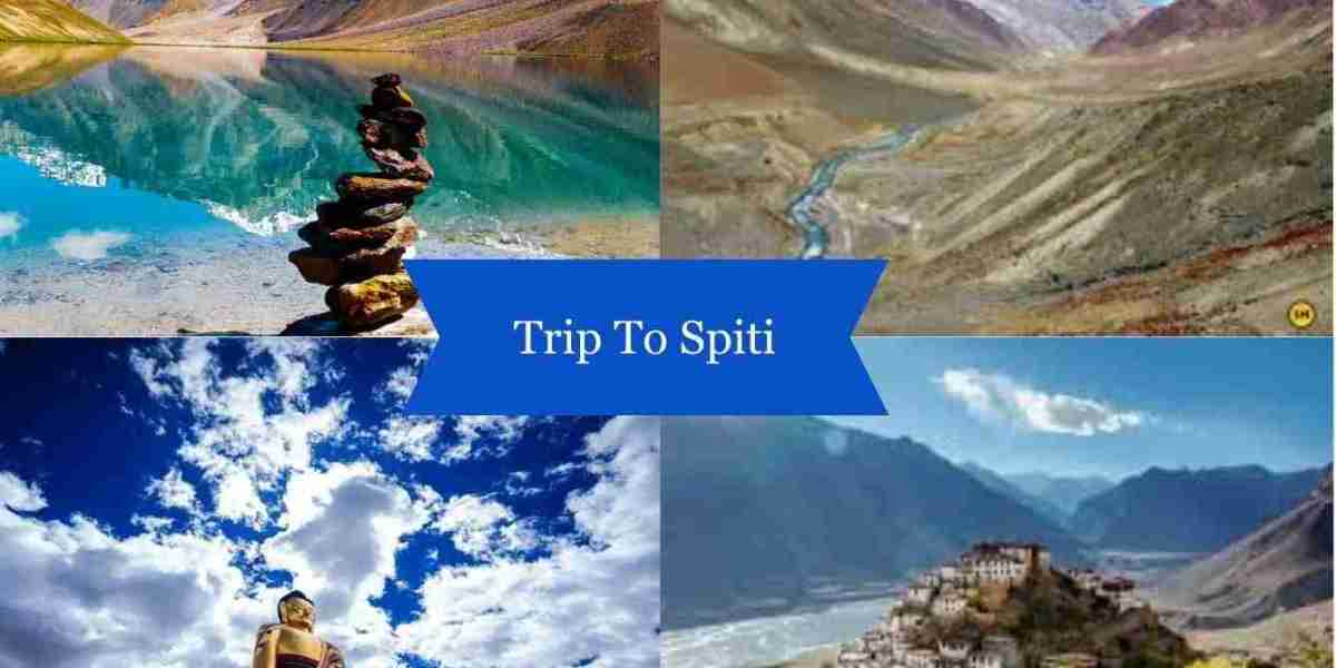 Spiti Unbound: Choosing Your Perfect Himalayan Escape