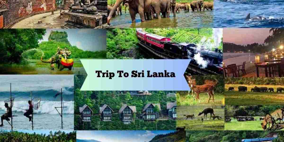 Unveiling Sri Lanka's Treasures