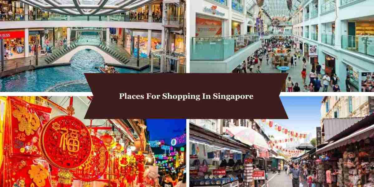 Singapore Shopping Spree: Unveiling a Shopaholic's Dream